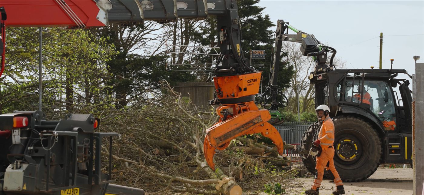 Treetex arborists at work
