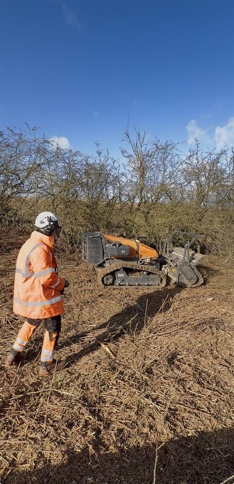 Treetex operations