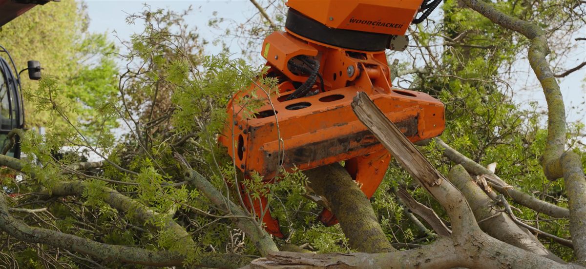 Treetex felling operations