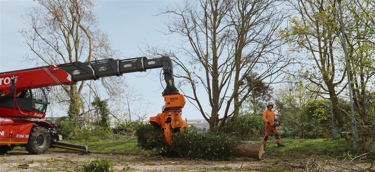 Treetex arboriculture operations
