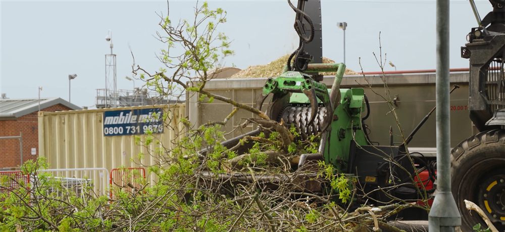 Treetex arboricultural work
